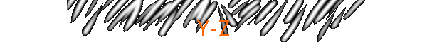 Y-Z